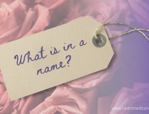 What is in a name?